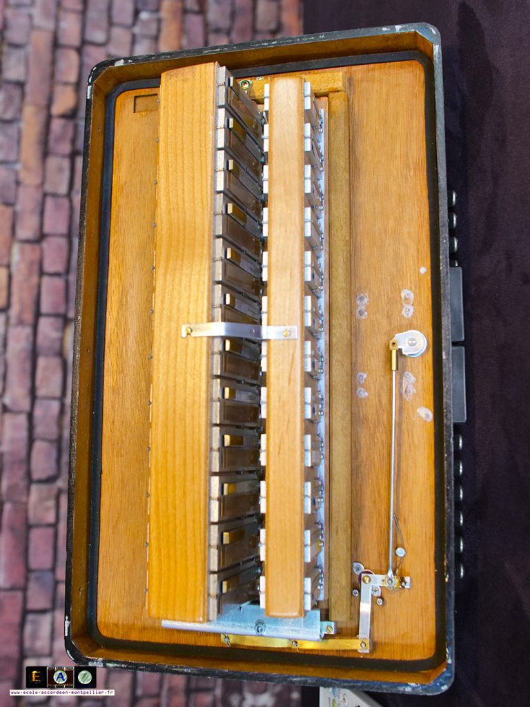 Main gauche accordéon interne Mini sonora MAUGEIN